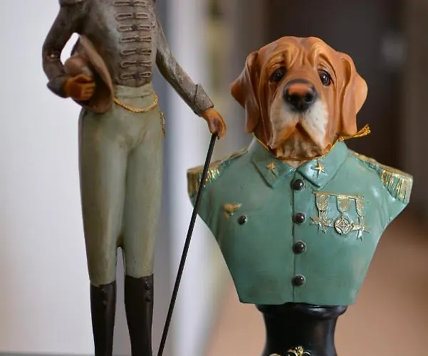 Отель King Alexander Флорина